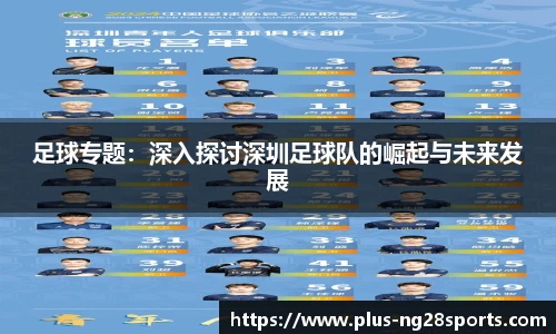 足球专题：深入探讨深圳足球队的崛起与未来发展