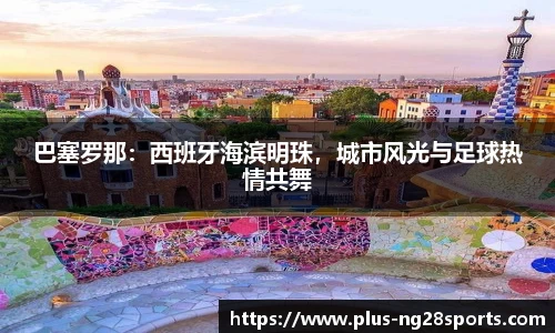 ng体育官方网站